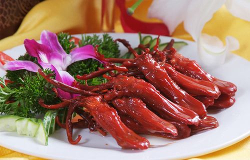 美食卤鸭舌