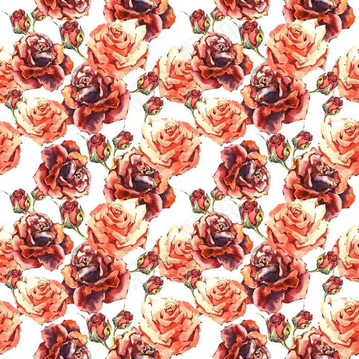 大量的红色牡丹高清图片