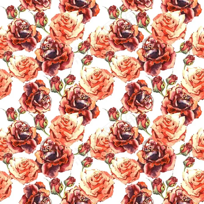 大量的红色牡丹高清图片