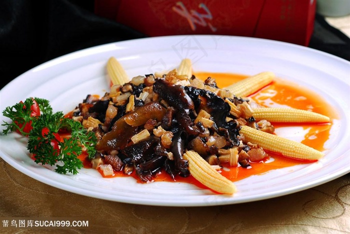 酱汁海参中华美食摄影图
