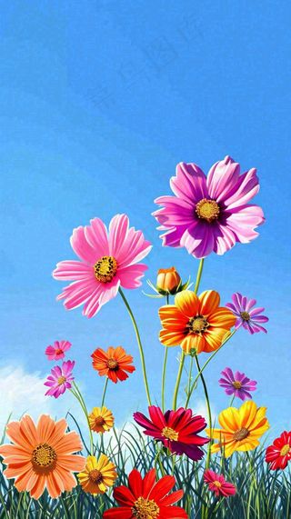 春天蓝天白云草坪鲜花，五彩缤纷鲜艳摄影图