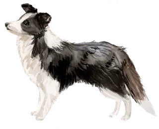 狗狗水彩画插画免扣素材可爱宠物狗