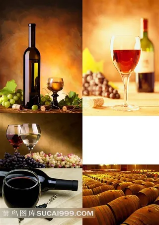 奢华红酒生活高清图片素材