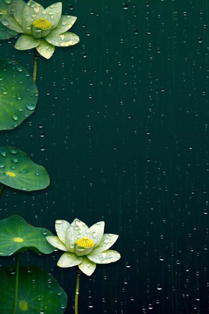 中国风传统绿色莲花简约背景