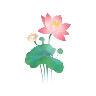 荷叶荷花莲蓬免抠