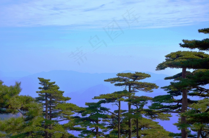 大自然, 户外, 树, 水域, 天空, 黄山, 中国