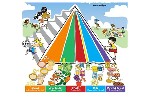 食物金字塔现代农业