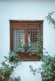 南浔风景1 南浔风景1