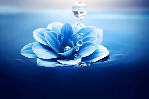 清新露珠蓝白色背景