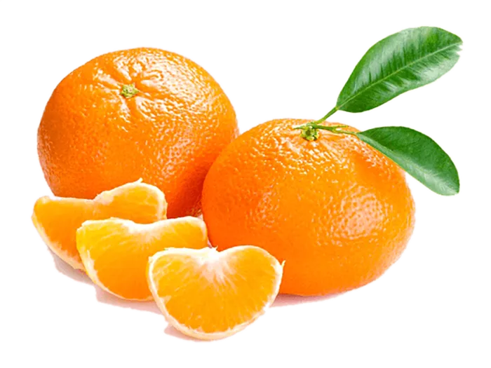 橘子免抠素材 (48)