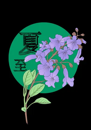 紫色泡桐简约夏至背景图