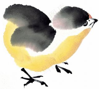 野生动物系列jpg素材