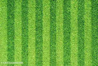 深绿草地草坪背景高清图片