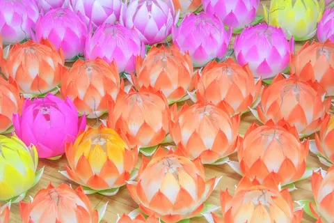 中秋彩色莲花灯图片 中秋彩色莲花灯图片