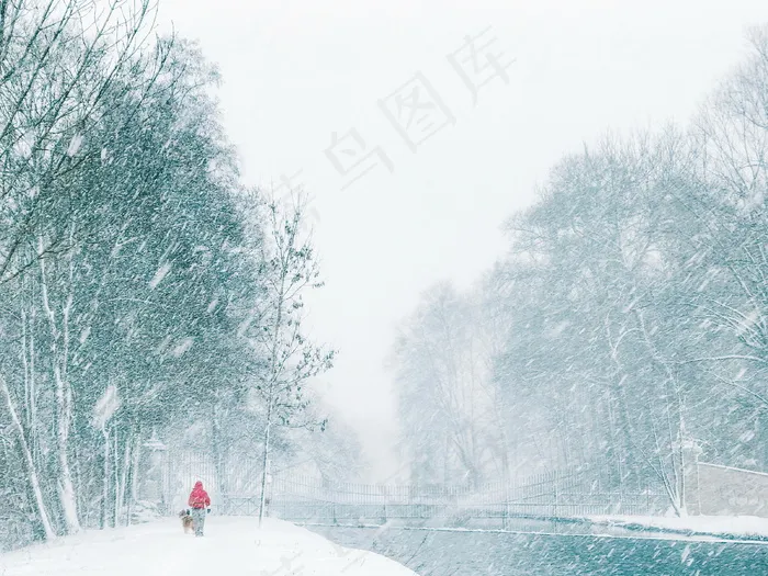 人与狗狗雪中风景画