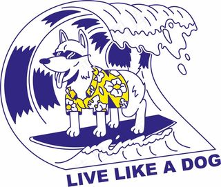 小狗冲浪 克莱因蓝