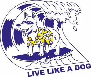 小狗冲浪 克莱因蓝