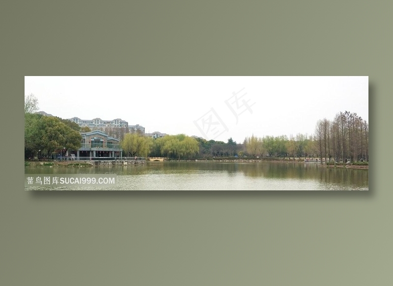 水树风景  湖 公园风景