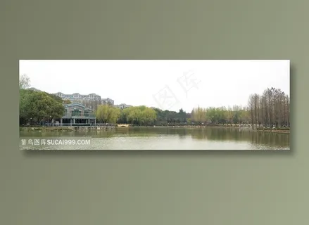 水树风景  湖 公园风景 水树风景  湖 公园风景