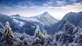 冬季山顶山谷树枝上铺满了白雪雪景摄影图