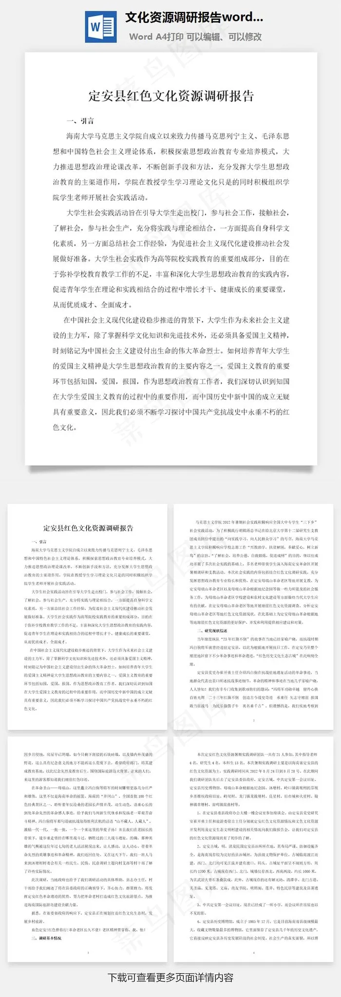 文化资源调研报告word文档