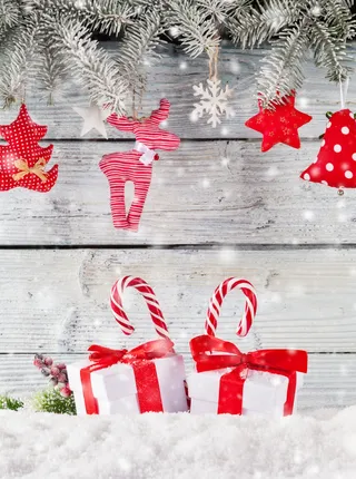 圣诞装饰元素静物特写场景(26)