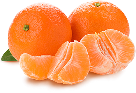 橘子免抠素材 (36)