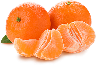 橘子免抠素材 (36)