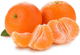 橘子免抠素材 (36)