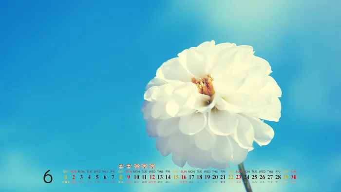 自然风光 高清壁纸 (182) 自然风光 高清壁纸 (182)