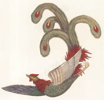 国画富贵鸟高清素材 国画富贵鸟高清素材