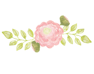 唯美森系手绘水彩花朵 免抠