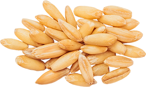03_Wheat Seeds