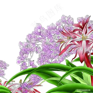 水彩兰花唯美插画