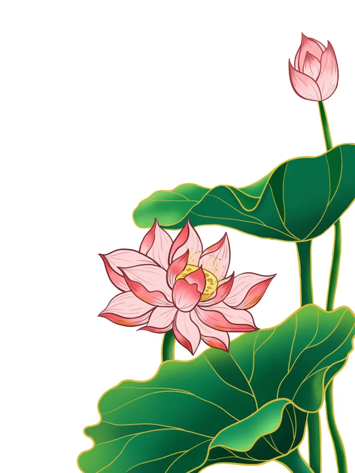 国潮中国风手绘荷花莲花荷叶莲藕植物花卉装饰插画PSD设计素材psd模版下载