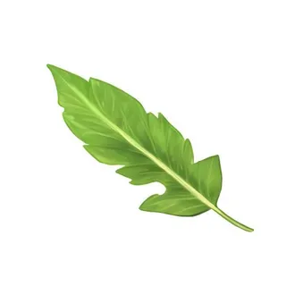 叶子树叶芭蕉叶免抠