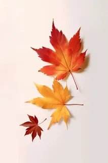 秋叶橙红色意境大气背景