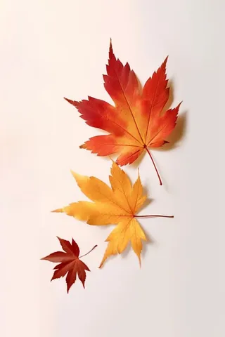 秋叶橙红色意境大气背景