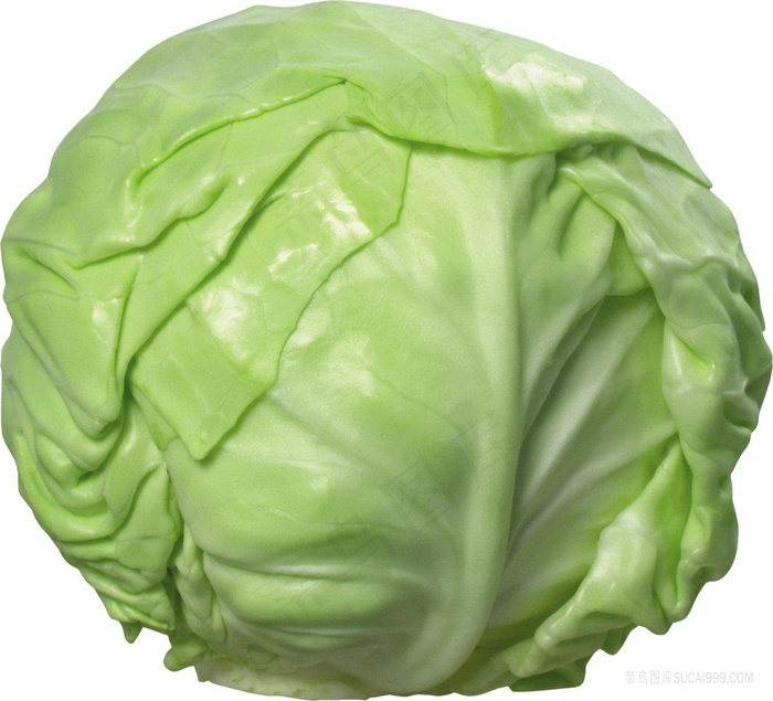 包菜 卷心菜 免扣素材