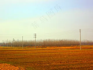 秋天的田野图片