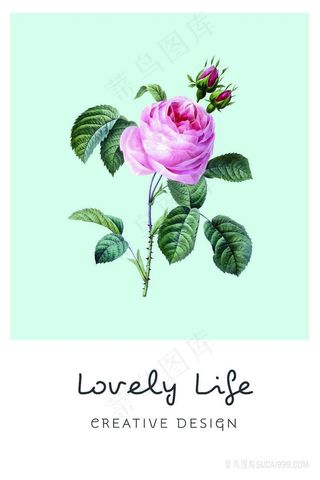 唯美玫瑰花鲜花艺术插画