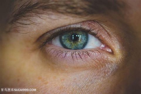 眼睛特写图片