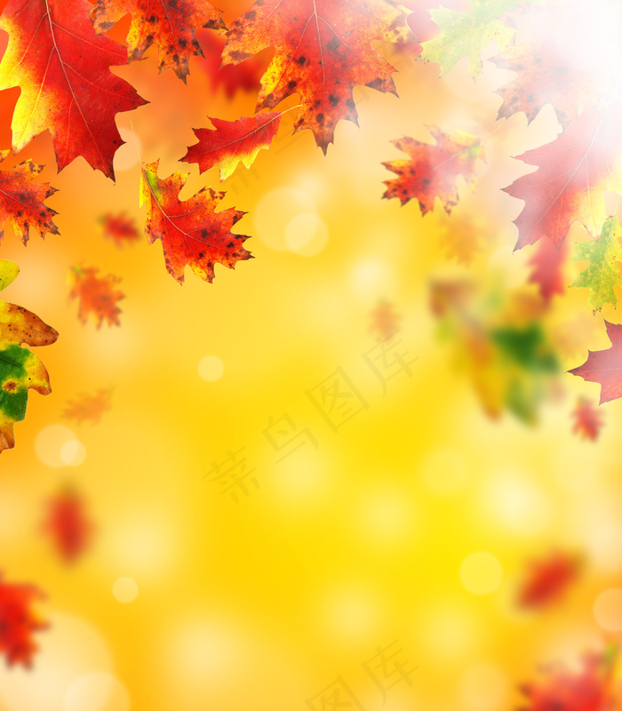 高清秋季背景图片下载