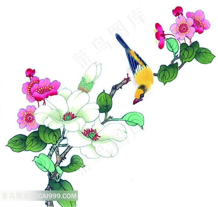 花鸟艺术图片