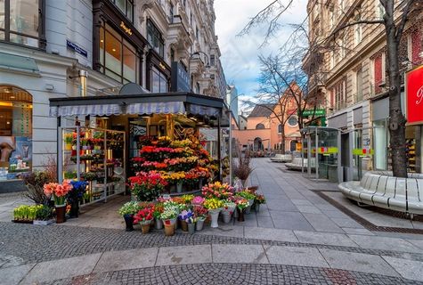 国外街头高清图片