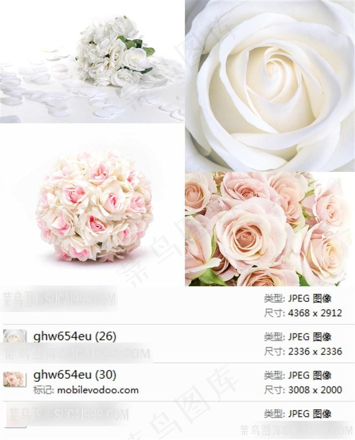 婚礼白色玫瑰花高清素材