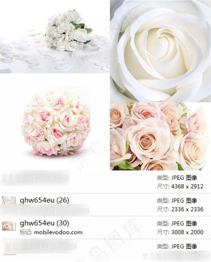 婚礼白色玫瑰花高清素材