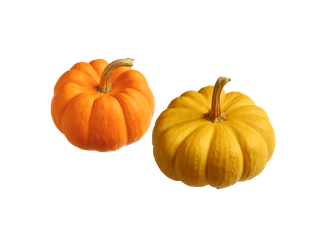 南瓜 (12)超市商品白底图免抠实物摄影png格式图片透明底