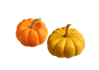 南瓜 (12)超市商品白底图免抠实物摄影png格式图片透明底