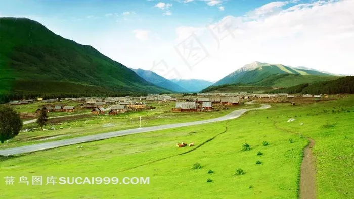 巴西美丽的草原牧场风景图片